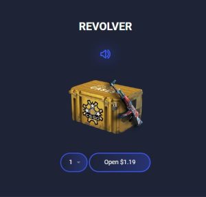 Revolver Case In Csgocases